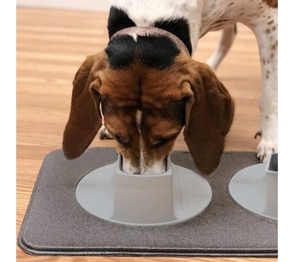 Ear-Clear - Pet Feeding Station