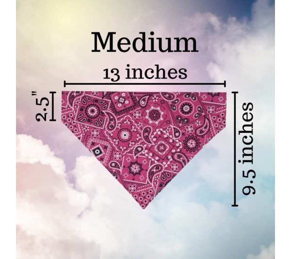 Sunny Side Up Eggs - No Tie Dog Collar Bandana - Small