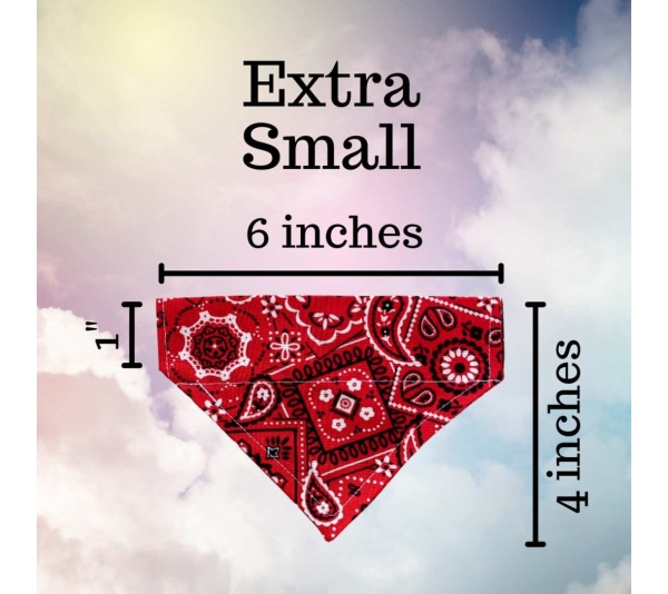 Sunny Side Up Eggs - No Tie Dog Collar Bandana - XSmall