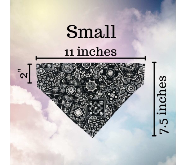 Sunny Side Up Eggs - No Tie Dog Collar Bandana - Kitty