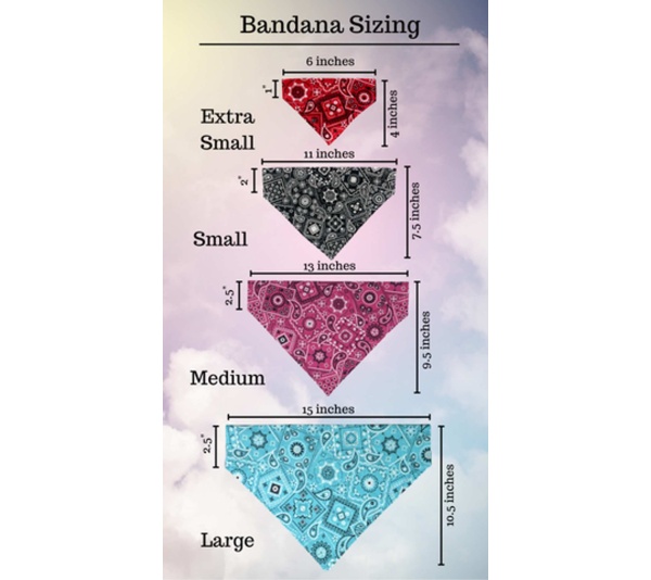 Sunny Side Up Eggs - No Tie Dog Collar Bandana - Large