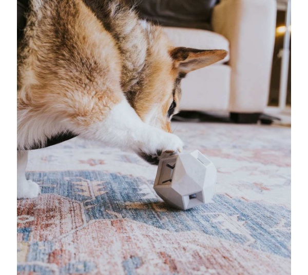 Light Grey - The Odin - Modern Treat Dispensing Dog Puzzle