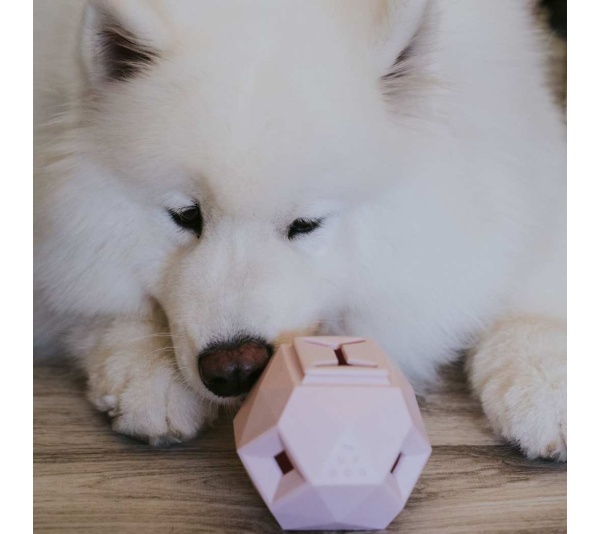 Light Grey - The Odin - Modern Treat Dispensing Dog Puzzle