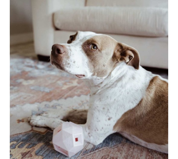 Rose Quartz - The Odin - Modern Treat Dispensing Dog Puzzle