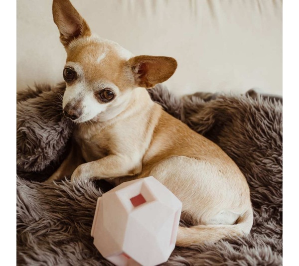 Rose Quartz - The Odin - Modern Treat Dispensing Dog Puzzle