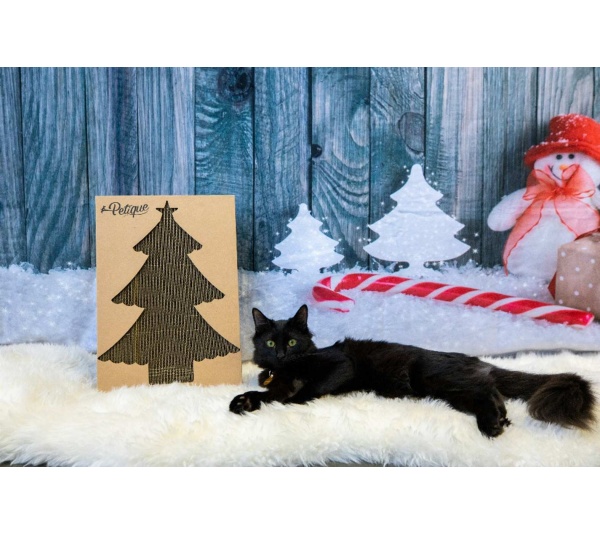 Christmas Cat Scratch Board