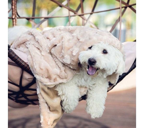 Velvet Blanky Pet Blanket - large