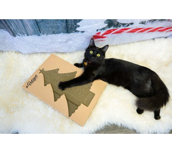 Christmas Cat Scratch Board