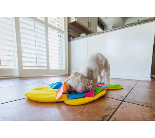 Fish - Snuffle Mat Puzzle Pad