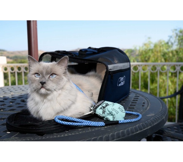 Elektric Blue - Tug Control Leash with Reflectors & Shock Absorber - Small