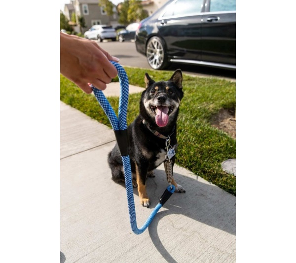 Elektric Blue - Tug Control Leash with Reflectors & Shock Absorber - Small