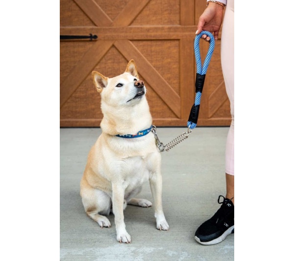 Elektric Blue - Tug Control Leash with Reflectors & Shock Absorber - Small