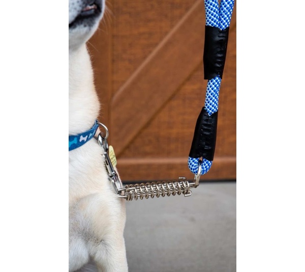Elektric Blue - Tug Control Leash with Reflectors & Shock Absorber - Small
