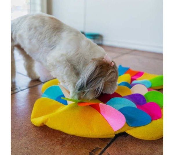 Fish - Snuffle Mat Puzzle Pad