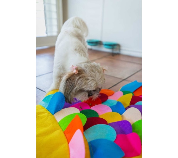 Fish - Snuffle Mat Puzzle Pad