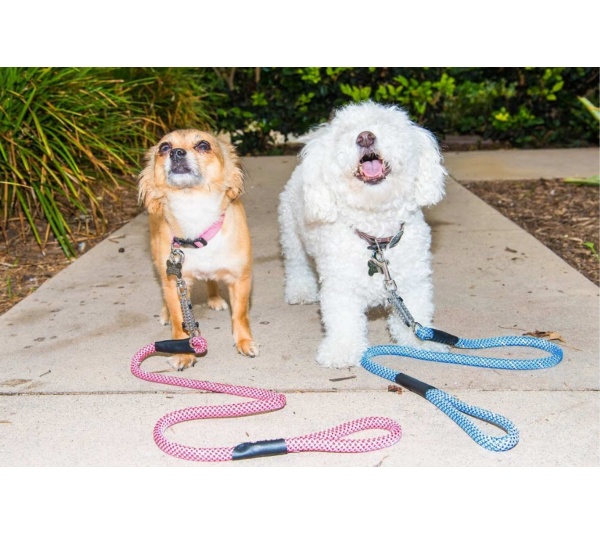 Kandy Kane - Tug Control Leash with Reflectors & Shock Absorber - Medium