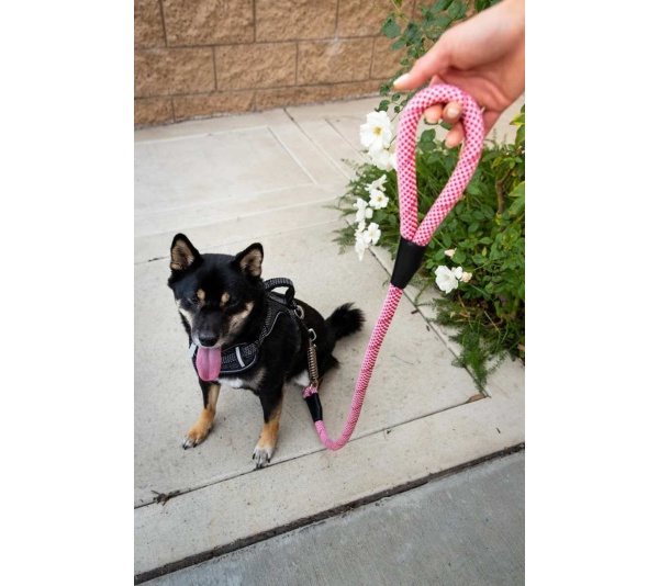 Kandy Kane - Tug Control Leash with Reflectors & Shock Absorber - Medium