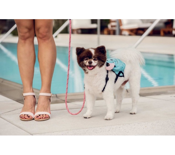 Kandy Kane - Tug Control Leash with Reflectors & Shock Absorber - Medium