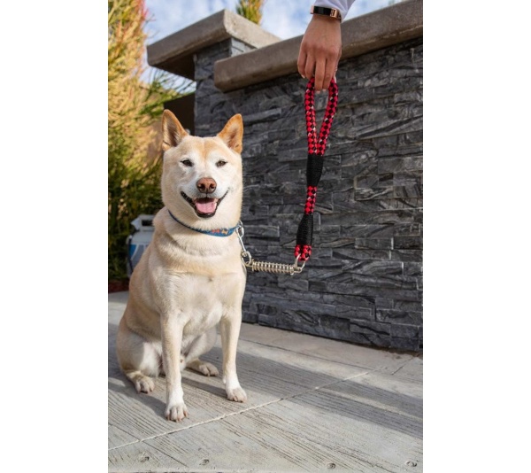 Ladybug - Tug Control Leash with Reflectors & Shock Absorber - XL