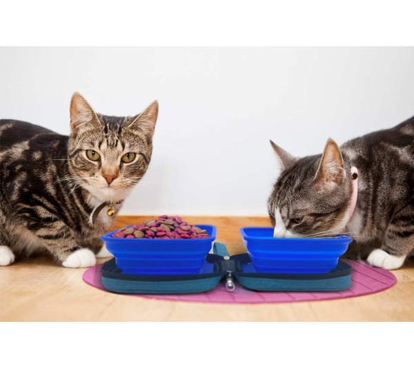 Blue - Portabowl Water and Food Bowl