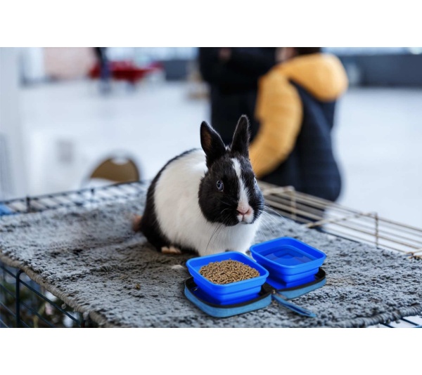 Blue - Portabowl Water and Food Bowl