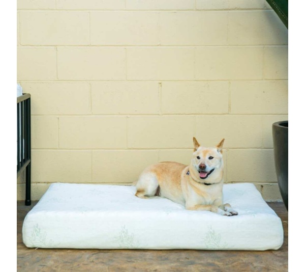Bamboo Memory Foam Pet Bed - Large/XL