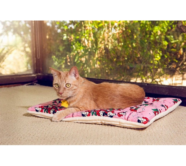 Frenchies in Pink - Comfy Mat Pet Bed