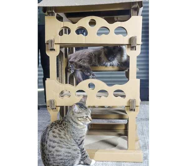 Feline Chateau Cat House