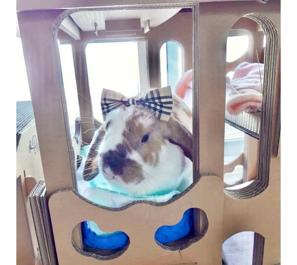 Feline Chateau Cat House