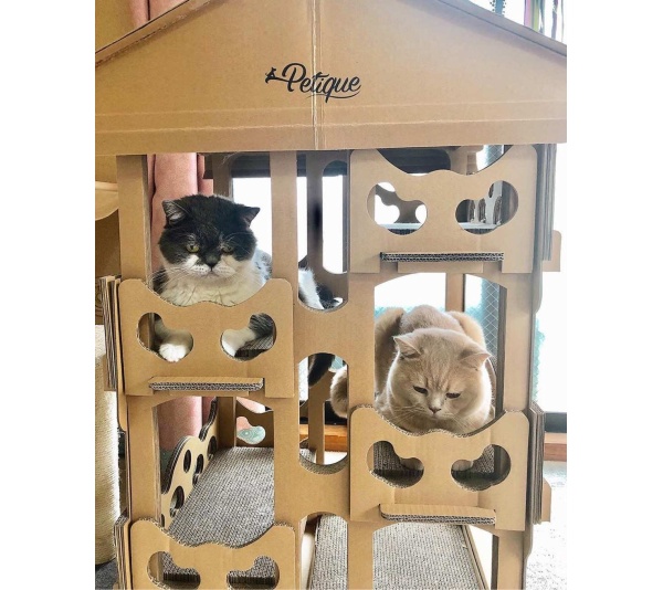 Feline Chateau Cat House