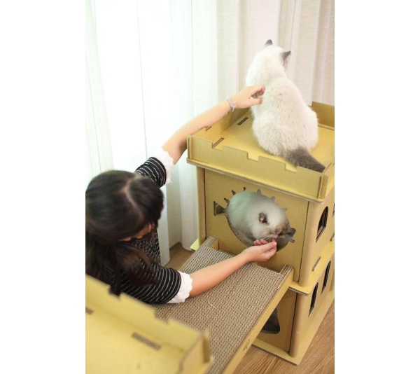 London Bridge Cat House