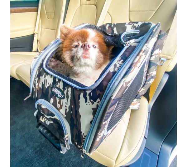 Army Camo - 5-in-1 Pet Carrier