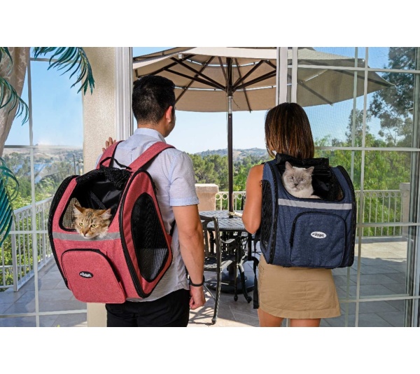 Coral - The Backpacker Pet Carrier