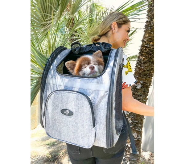 Glacier - The Backpacker Pet Carrier