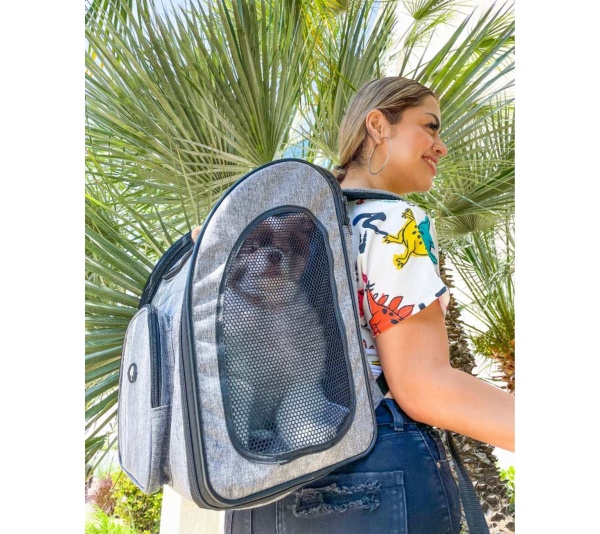 Glacier - The Backpacker Pet Carrier