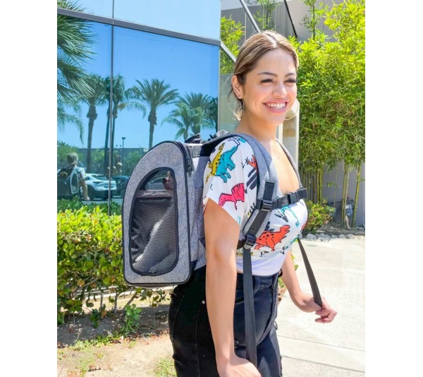 Glacier - The Backpacker Pet Carrier