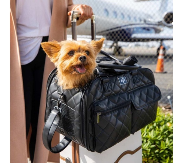 The Lux Pet Carrier