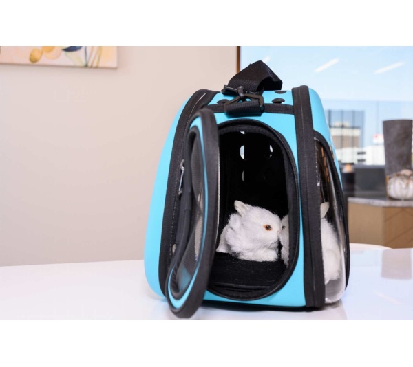 Mint - Macaron Pet Carrier