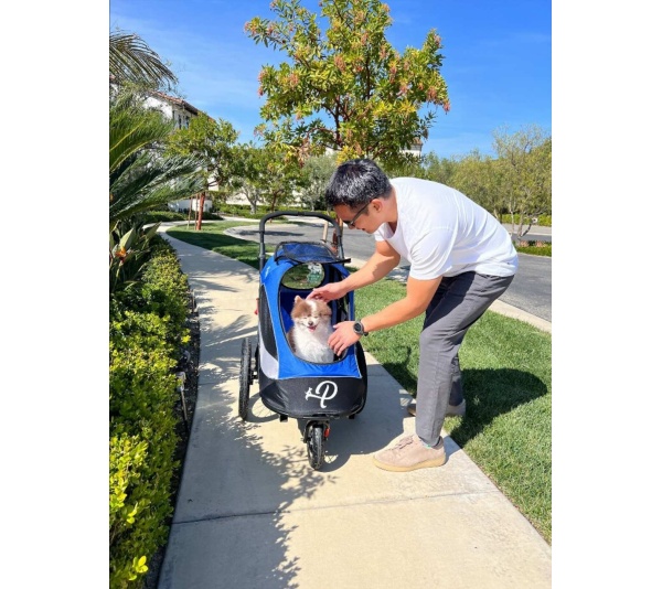 Atlas - Trailblazer Pet Jogger