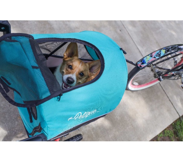 Neptune - Trailblazer Pet Jogger
