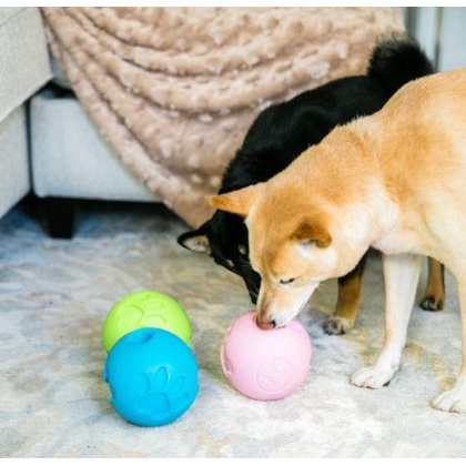 Pink - Paw Me! Treat Ball Dispenser