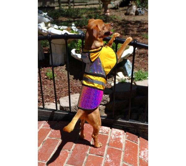 Yellow - Birds of Prey Away Jacket - Large