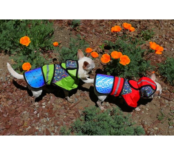 Green - Birds of Prey Away Jacket - Large