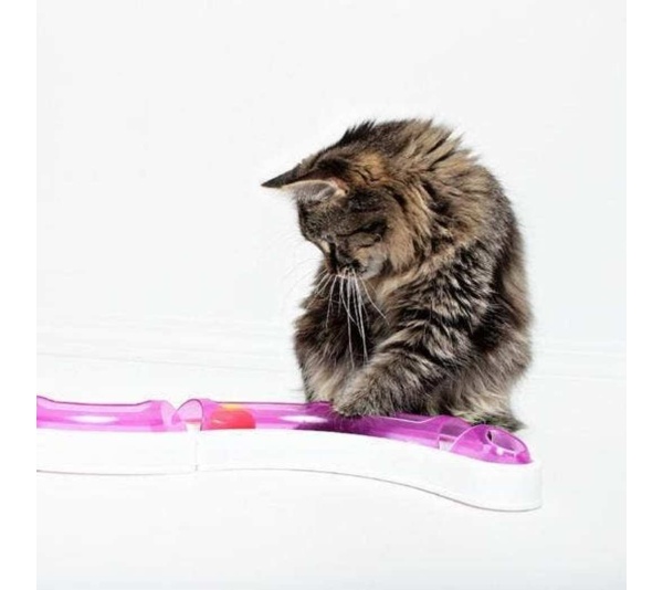 Ball Track Chase Game -