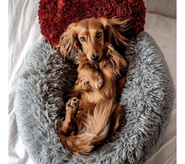 Dark Grey - Marshmallow Pets Bed -  Large