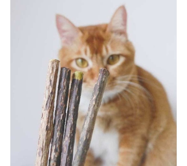 Matatabi Dental Sticks -  Small