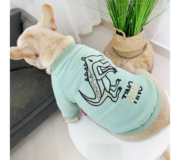 Mint Green - Dinosaur Love - Matching Pet and Owner Clothing Set -   Small