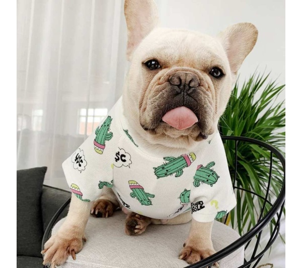 White - Green Dinosaur - Matching Pet and Owner Clothing Set -   Small