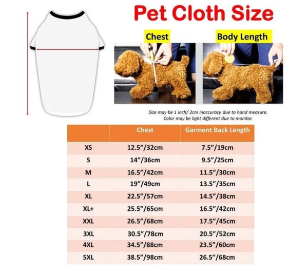 Gray - Smile Everyday - Matching Pet and Owner Clothing Set -   Large