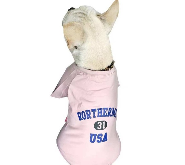 Pink - USA - Matching Pet and Owner Clothing Set -   4XL
